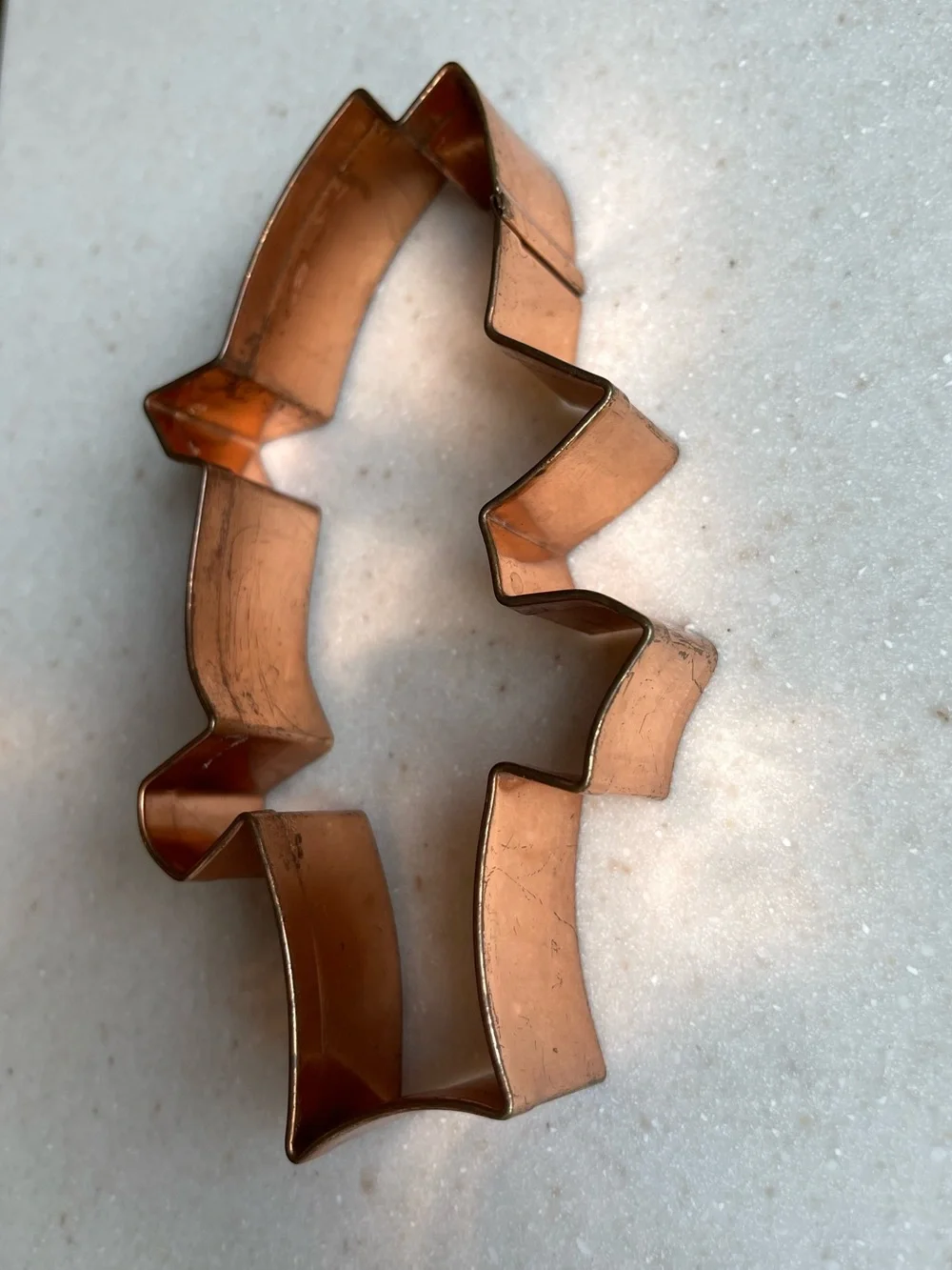 Copper cookie cutter large fish